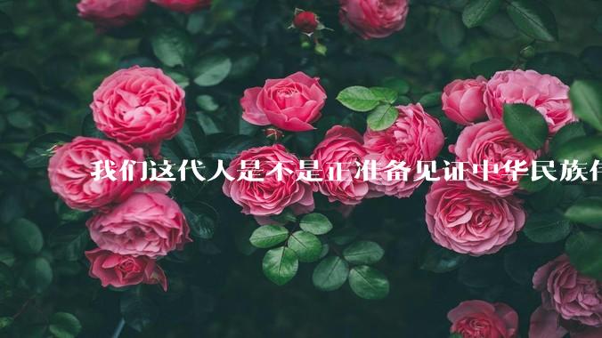 我们这代人是不是正准备见证中华民族伟大复兴呢？