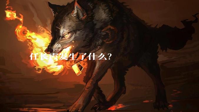 任长霞发生了什么？