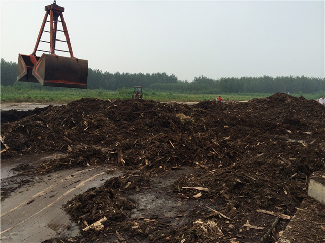 银娱优越会(中国游)股份有限公司