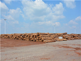 银娱优越会(中国游)股份有限公司