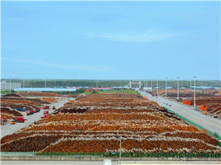 银娱优越会(中国游)股份有限公司