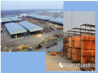 银娱优越会(中国游)股份有限公司