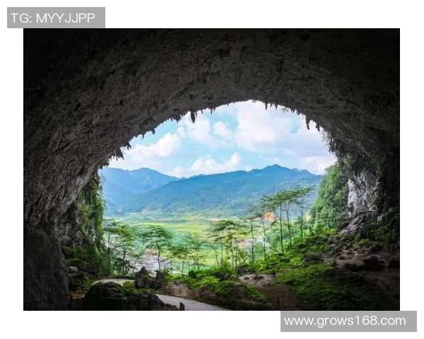 南京攀岩队的防反策略揭秘与深度分析攀岩技术的提升之路