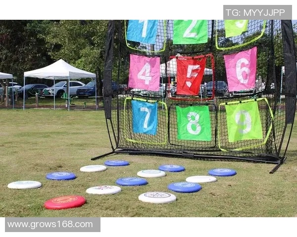 武汉飞盘队的阵地战体系与飞盘战术的深度解析与应用探讨 武汉飞盘队的阵地战体系与飞盘战术的深度解析与应用探讨