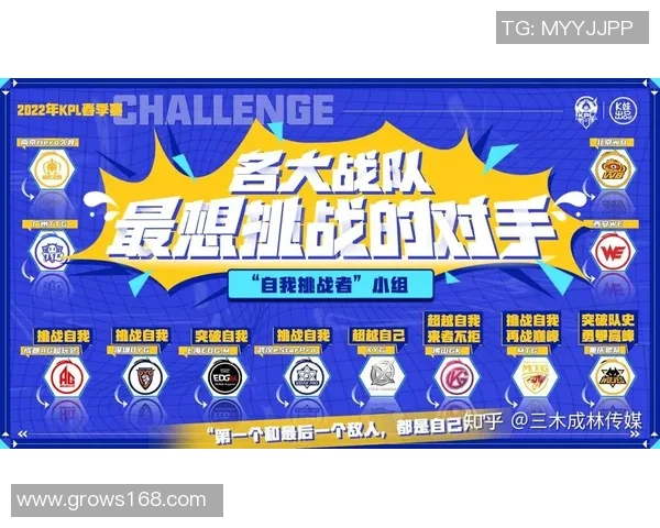 聚焦王者荣耀战术解析：WE战队如何运用策略赢得比赛