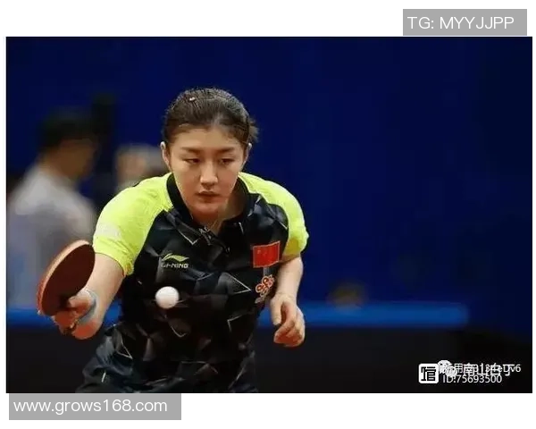 西安网球队进攻策略分析与得失总结探讨 西安网球队进攻策略分析与得失总结探讨