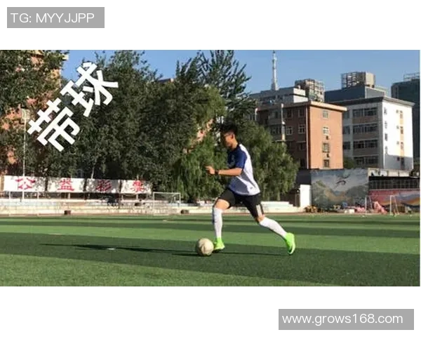 足球新手必看：全面提升个人能力的入门指南与实用技巧分享