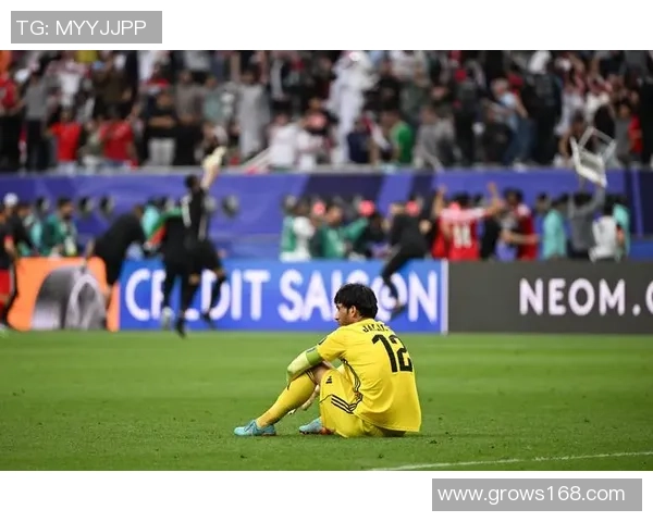 2016年1月14日约旦与越南足球比赛精彩比分回顾与分析 2016年1月14日约旦与越南足球比赛精彩比分回顾与分析