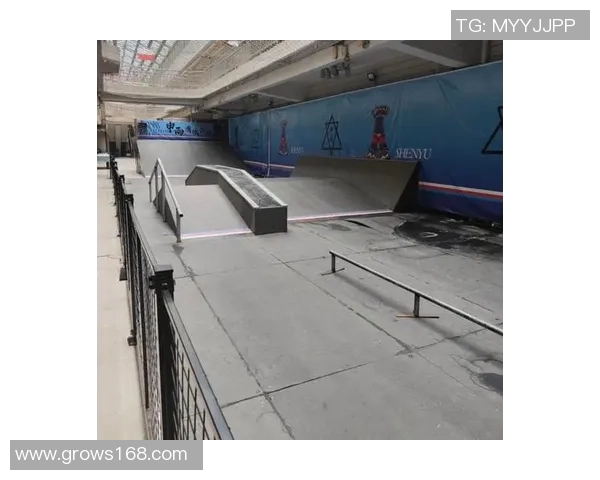 南京滑板队的灵活性探秘：如何在城市街头展现极致技艺与风格