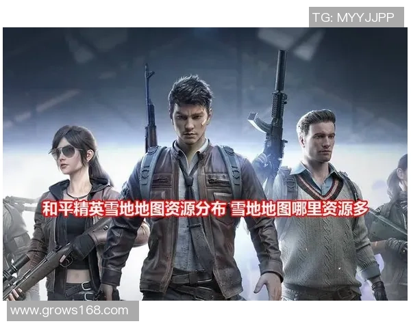 和平精英专题：深入探讨LNG战队的团队协作与战术配合技巧