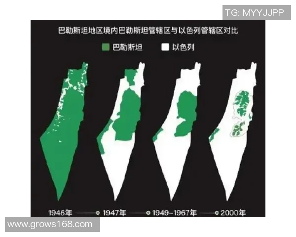 巴勒斯坦与西班牙联合的历史交汇与未来展望分析